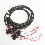 Automotive Wiring Harness with Fuse